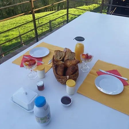 Couette-café Alpagas De Barres Senaillac-Latronquiere