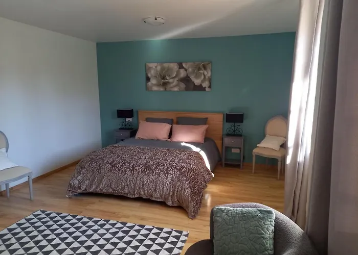 Alpagas De Barres Senaillac-Latronquiere