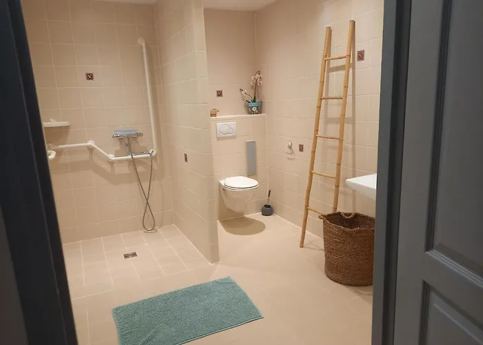 Alpagas De Barres Senaillac-Latronquiere