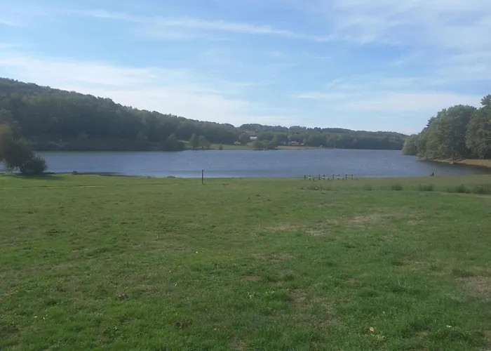 Alpagas De Barres Senaillac-Latronquiere