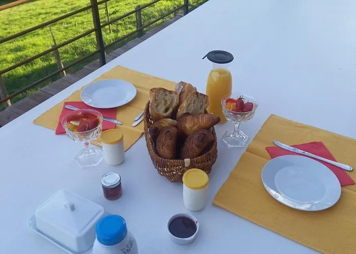 Bed & Breakfast Alpagas De Barres Senaillac-Latronquiere